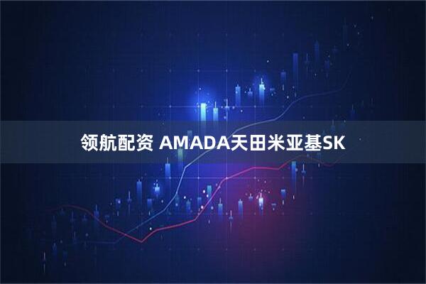 领航配资 AMADA天田米亚基SK