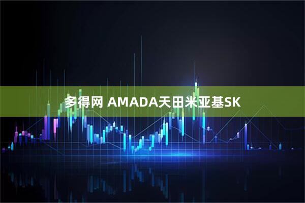多得网 AMADA天田米亚基SK