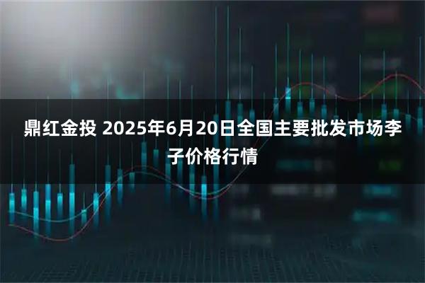鼎红金投 2025年6月20日全国主要批发市场李子价格行情